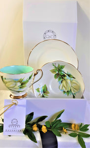 Roslyn Cup & Saucer (Signed) & Queen Anne Plate with Tea Samples